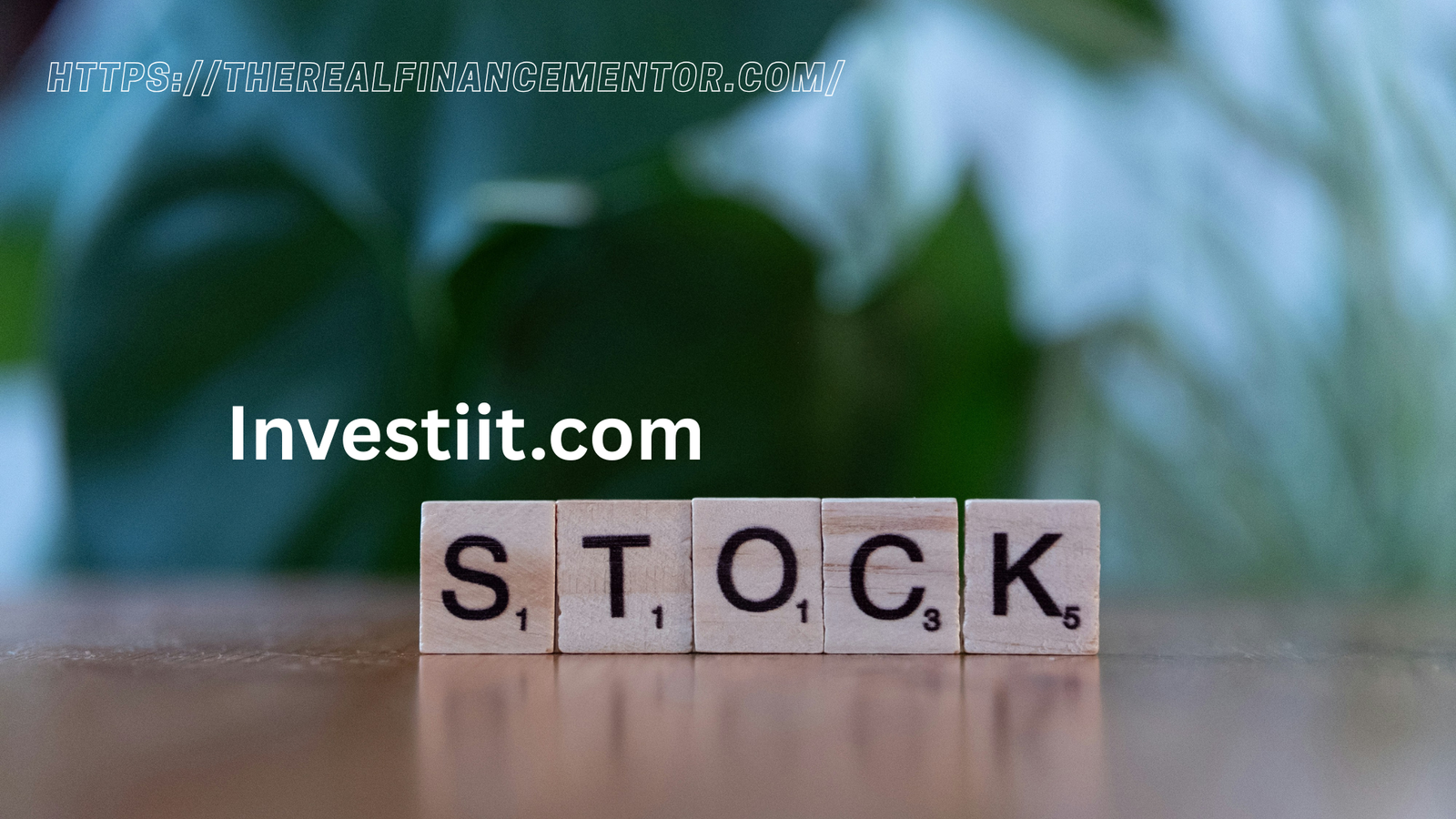 Investiit.com Stocks