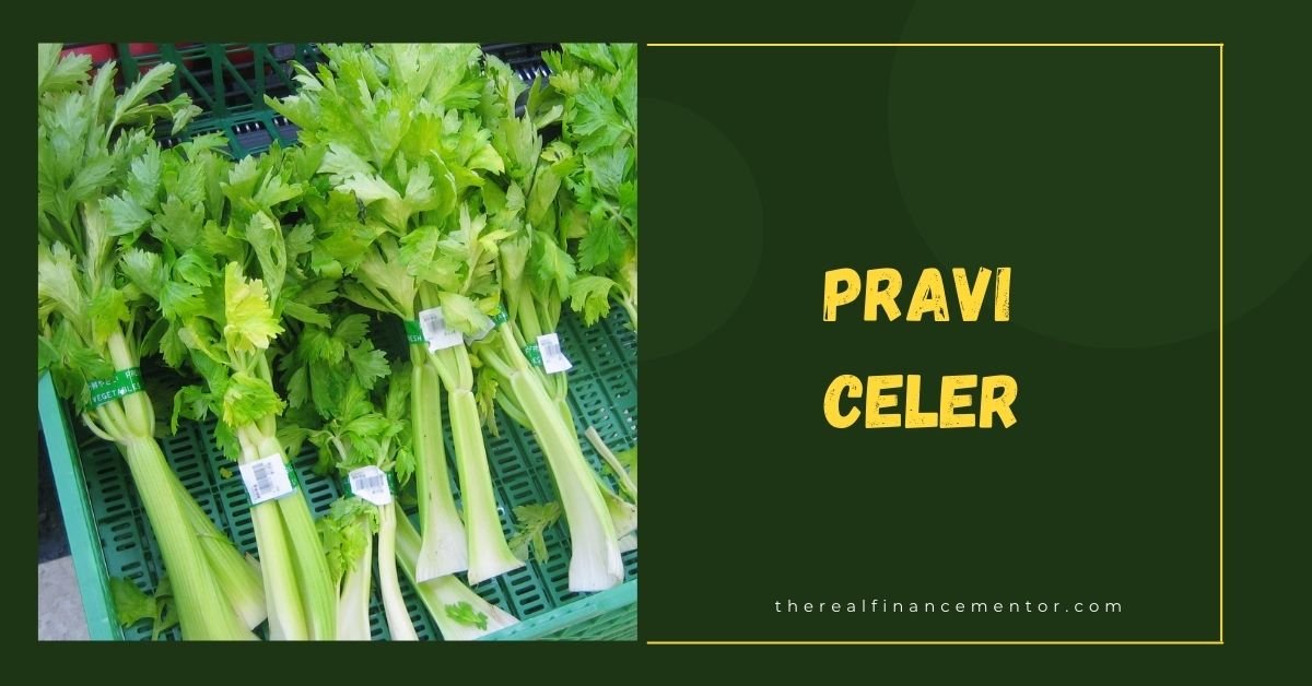 Pravi Celer